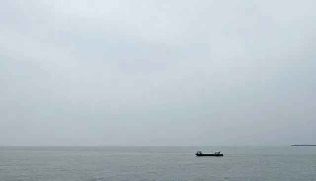 选型关注点影响财税咨询绩效提升的原因分析